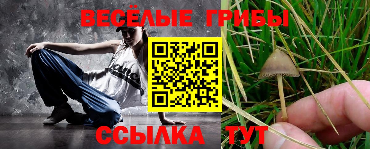 Нижнеудинск  Галлюциногенные грибы Magic Shrooms  Вход с VPN 
